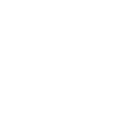 Map icon